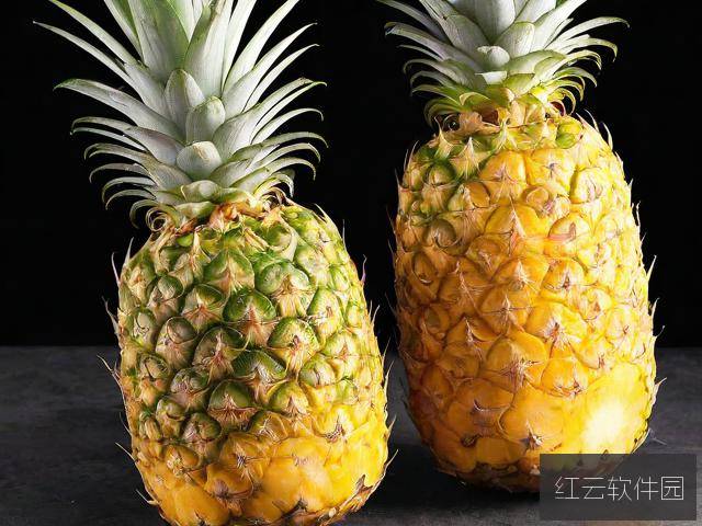 大菠萝福建导航网址全面解析,揭秘网站排行与用户体验