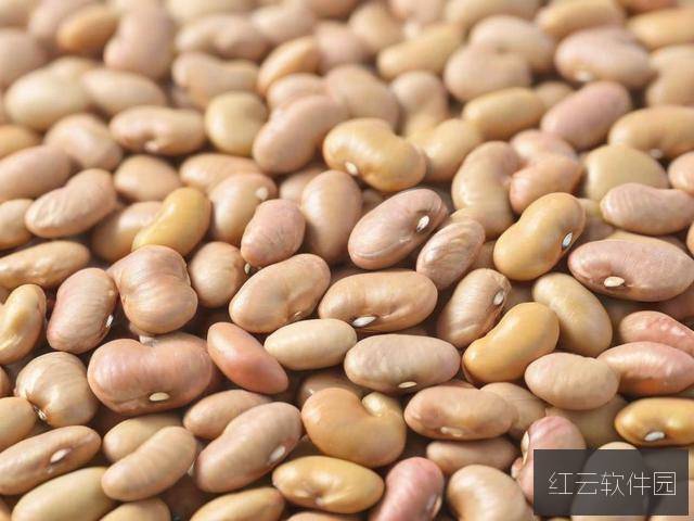 解码精产国品，一、二、三产区差异与麻豆品质密码