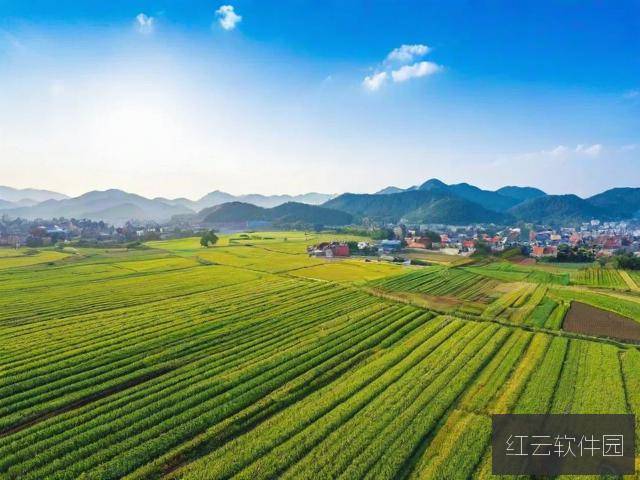 解密99精产国品一二三产区，探析最新版的产业升级路径
