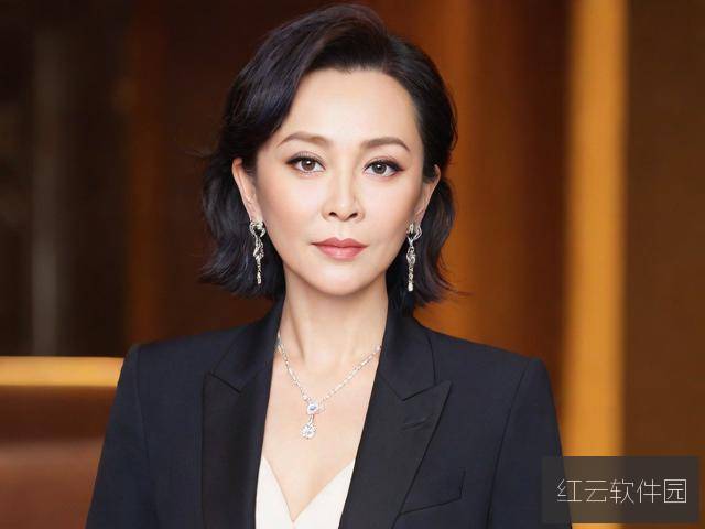 刘嘉玲影视作品回顾,艺术与隐私的边界探讨